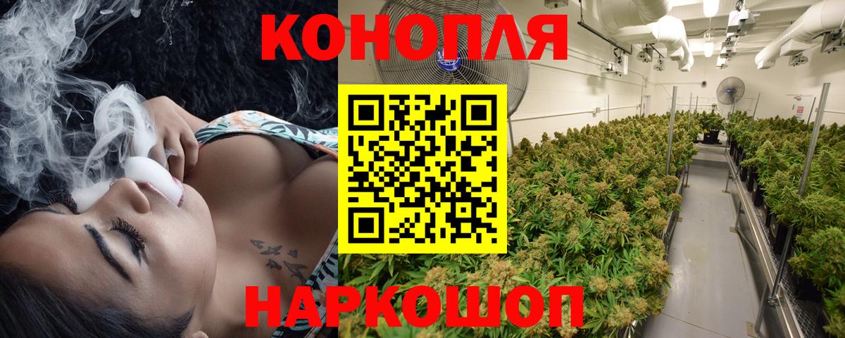 Бошки Шишки планчик Казань